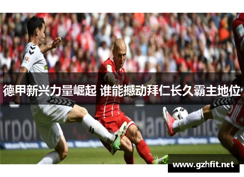 德甲新兴力量崛起 谁能撼动拜仁长久霸主地位