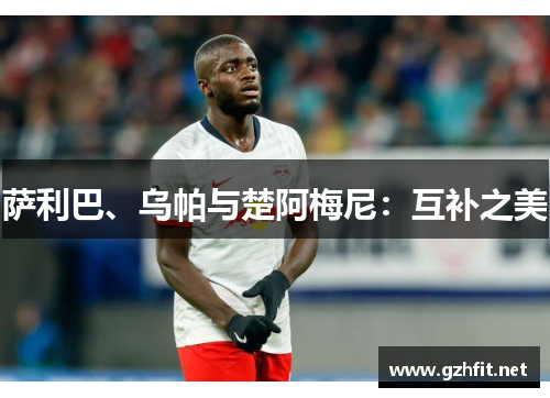 萨利巴、乌帕与楚阿梅尼:互补之美
