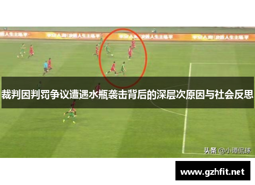 裁判因判罚争议遭遇水瓶袭击背后的深层次原因与社会反思